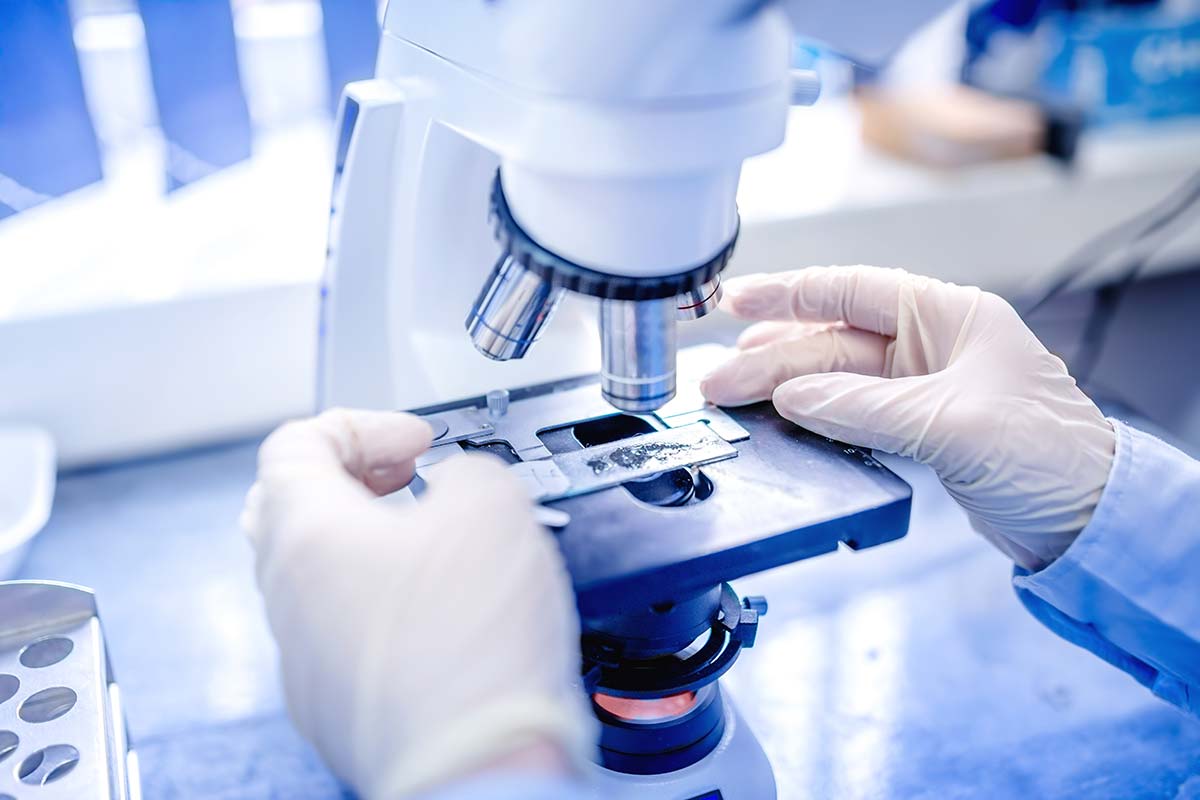 slide specimen being placed on a microscope